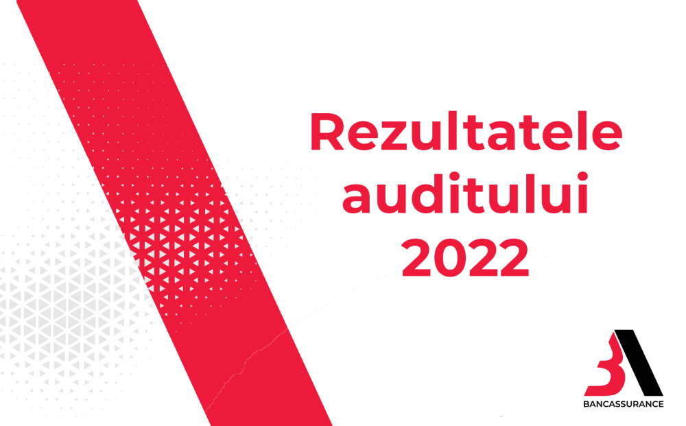 Rezultatele Auditului. Bilanț la 31 Decembrie 2022